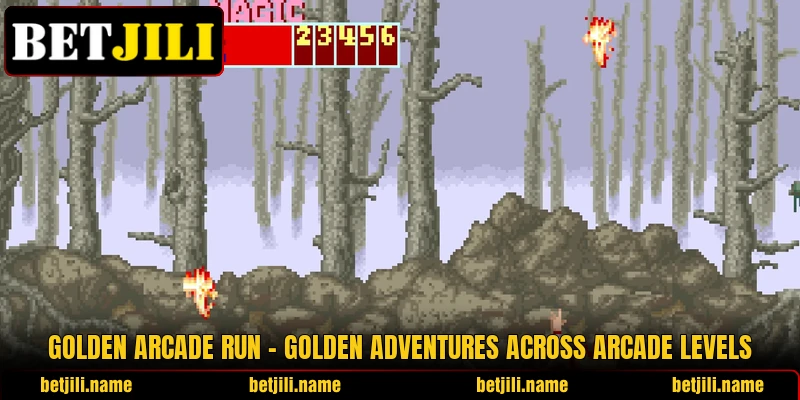 Golden Arcade Run – Golden Adventures Across Arcade Levels